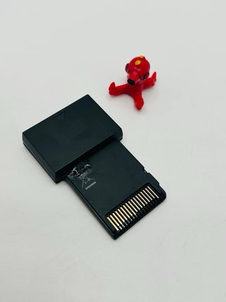 Action Replay DS Originale