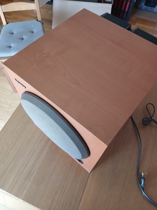 Subwoofer Sony SA-WM250