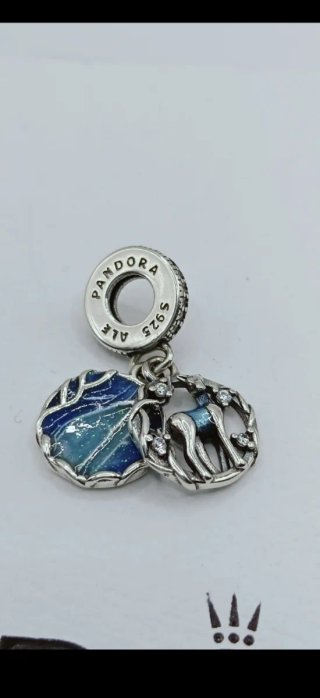 Charm Pandora Harry Potter