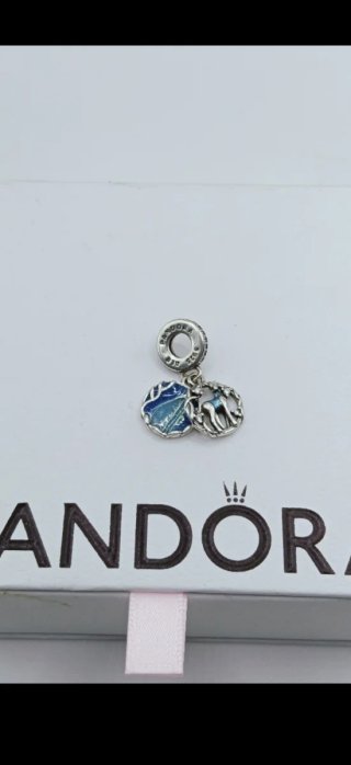 Charm Pandora Harry Potter