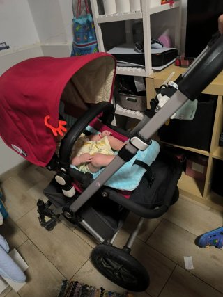 Carro Bugaboo