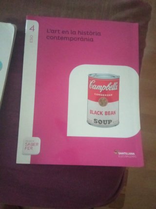 Història, 4 ESO