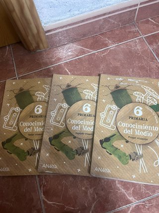 Libros Conocimiento 6 primaria