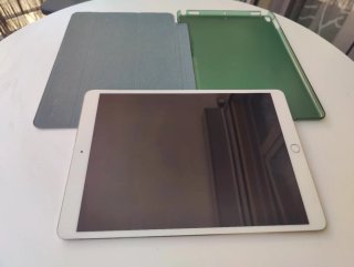 iPad Pro 10.5 256GB 4G+WiFi Plata/Verde