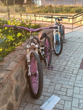 Bicicleta Stunt Morada