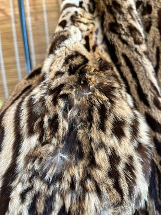 Abrigo piel pelo leopardo