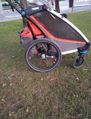 Carro Thule Chariot Cross 2