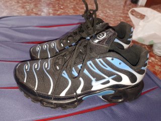 Zapatillas Nike Air Max TN Negras