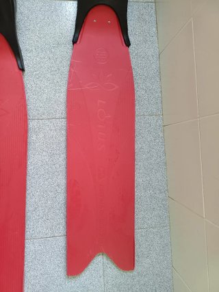 Aletas Cetma Lotus HD Nuevas