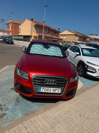 Audi SQ5 3.0 BI TDI 313 cv