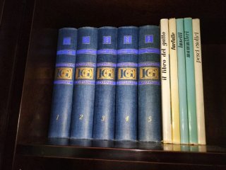 Enciclopedia Medica Vintage