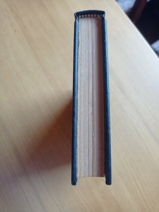 Tamarís, de George Sand