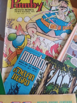 Lote Revistas Lily y Monitor