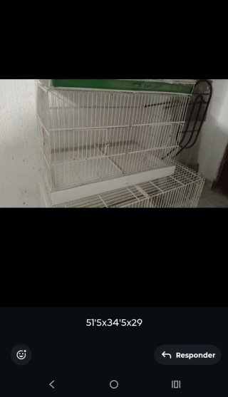 Jaula para pájaros plateada y blanca