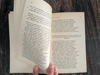 Libro de buen amor