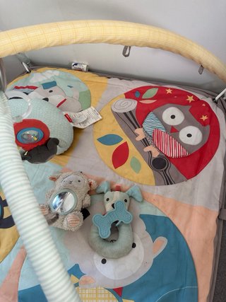 Parque Gimnasio Infantil Skip Hop