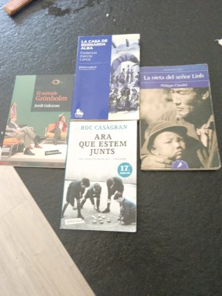 Libros  4 ESO  (Pau vila ) la casa de bern