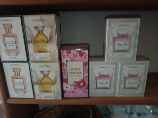 Lote 8  perfumes mujer Luxerom