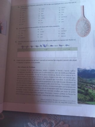 Llenga catalana i literatura 1 eso