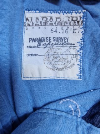 Polo Napapijri azul con banderas