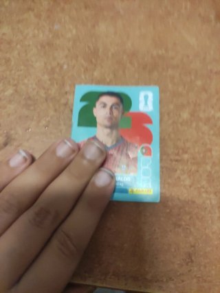Cromos Panini Fútbol