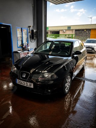SEAT Ibiza 2004 Revisado