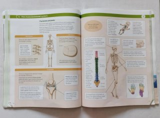 Libro Biología y Geología 3º ESO en inglés
