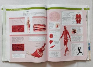 Libro Biología y Geología 3º ESO en inglés