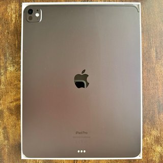 iPad Pro 13” M4 256Gb Impecable