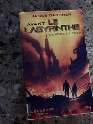 Libro en francés avant le labyrinthe