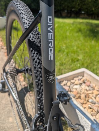 Specialized Diverge E5 + Ruedas carbono T58