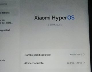 Xiaomi iPad 5 128GB Negro no tiene caja ni cargado