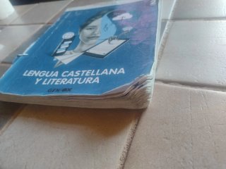 Lengua castellana y literatura 2o ESO