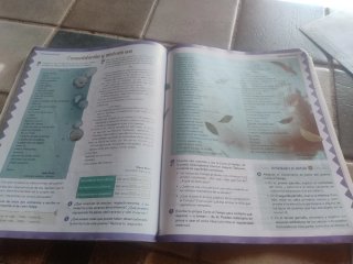 Lengua castellana y literatura 2o ESO