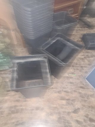 Macetas de 7L y platos.
