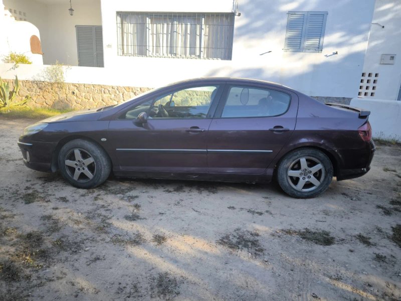Peugeot 407 2004 - foto 1
