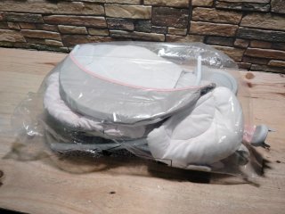 Ingenuity Comfort 2 Go Flora Columpio Plegable