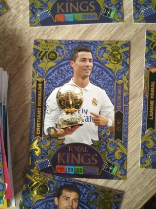 Cromos Panini Total Kings