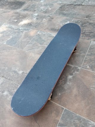 Skate Globe Negro