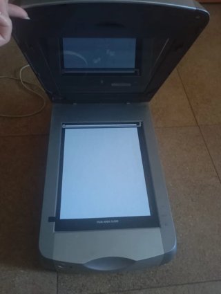Scanner Epson Argento