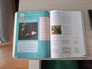 Lengua Castellana y Literatura. 2 Bachillerato....