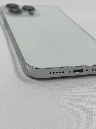 iPhone 13 Pro 256GB Argento Sbloccato