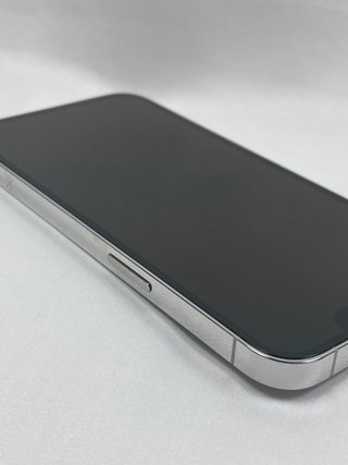 iPhone 13 Pro 256GB Argento Sbloccato
