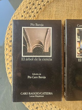 Libros literatura 2 bachillerato