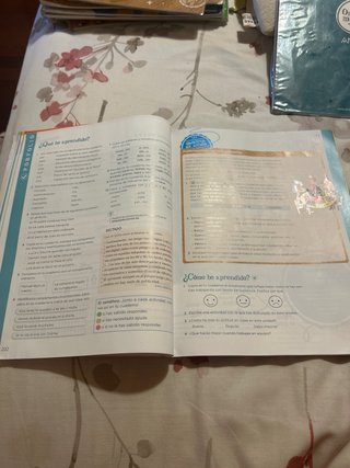 Libros de 6 de primaria lengua