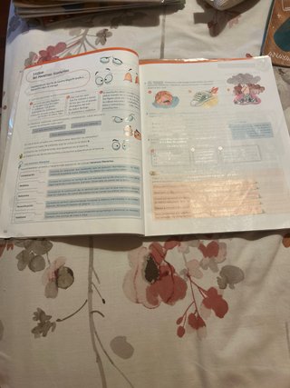 Libros de 6 de primaria lengua