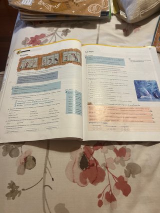 Libros de 6 de primaria lengua