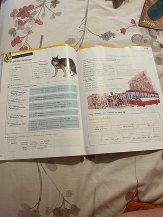 Libros de 6 de primaria lengua