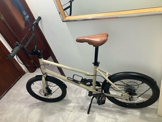 Bicicleta Wildtrak 20”