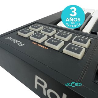 Teclado Roland A-300Pro 32 teclas